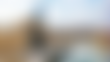 Spanish animal research transparency continues to strengthen