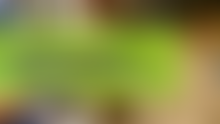 Canadian university defends dog research amidst political controversy