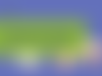 Patch improves healing after heart attack in rats and pigs