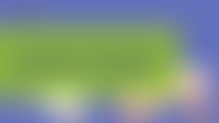 Patch improves healing after heart attack in rats and pigs