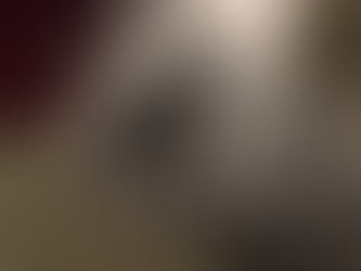 Decoding the genetics of several cancers in cats