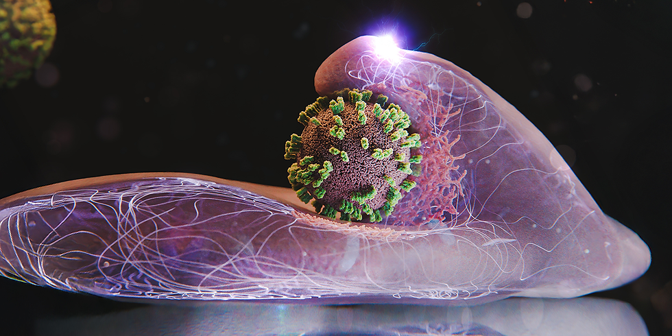 New method captures flu virus surfing human cells in real-time