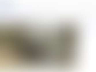 Italian animal facilities and labs featured on national news 