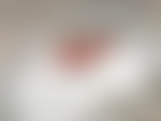 Pig study could improve health of premature babies