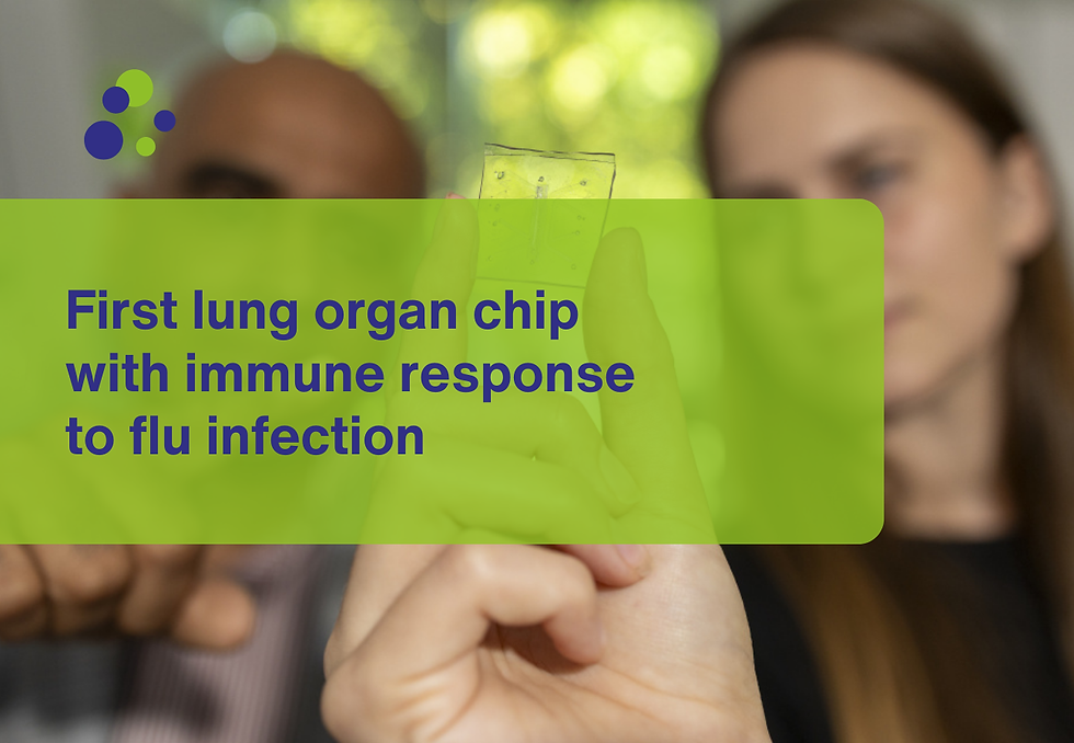 First lung organ chip with immune response to flu infection