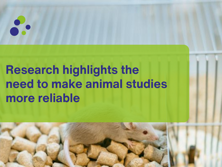 Research highlights the need to make animal studies more reliable