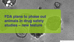 FDA plans to phase out animals in drug safety studies – new feature 