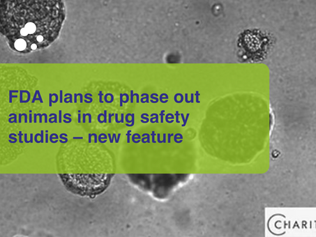 FDA plans to phase out animals in drug safety studies โ new feature