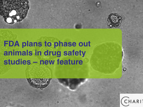 FDA plans to phase out animals in drug safety studies – new feature 