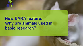 New EARA feature: Why are animals used in basic research?