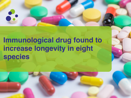 Immunological drug found to increase longevity in eight species
