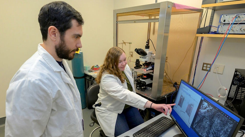 Light-based brain therapy reduces opioid relapse in rats