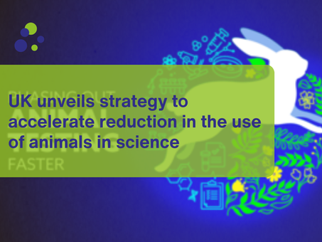 UK unveils strategy to accelerate reduction in the use of animals in science