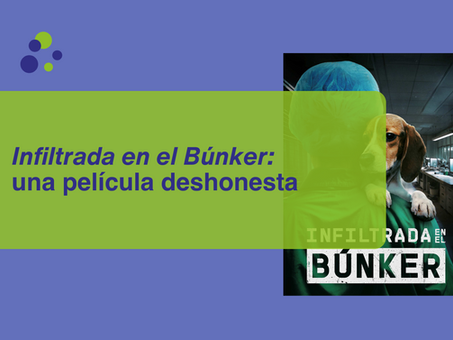 Infiltrada en el Bรบnker: una pelรญcula deshonesta