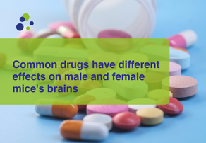 pills with different colors and sizes