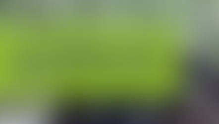 Wild chimps prefer alcoholic fruits – a glimpse into human addiction