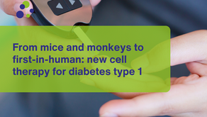 From mice and monkeys to first-in-human: new cell therapy for diabetes type 1 