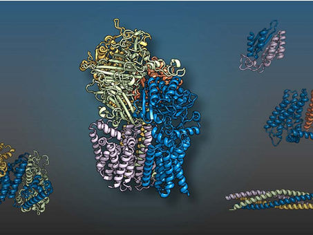 AI accurately predicts how proteins interact