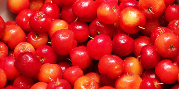 Photo du rédacteur: Cerise Makrèl 🍒