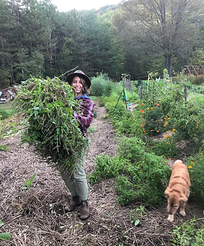 Screenshot 2025-12-15 111046.png