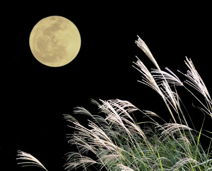 10月1日