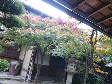 早島 リストラティブクラス