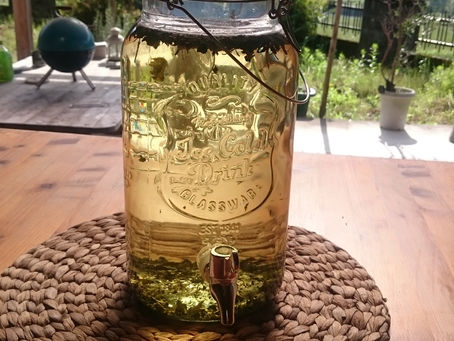 🌿トゥルシーと緑茶のハーブティー🌿