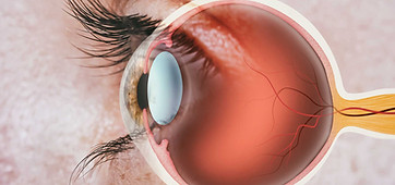 AdobeStock_422392315.jpg