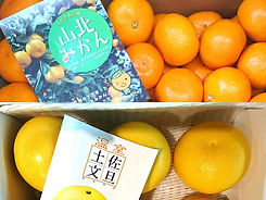 高知発!旬の味わい
