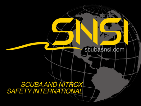 SNSIジャパン株式会社【ブルーオーシャンフェス2024出展社紹介】