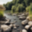 river with rocks and reeds.jpg