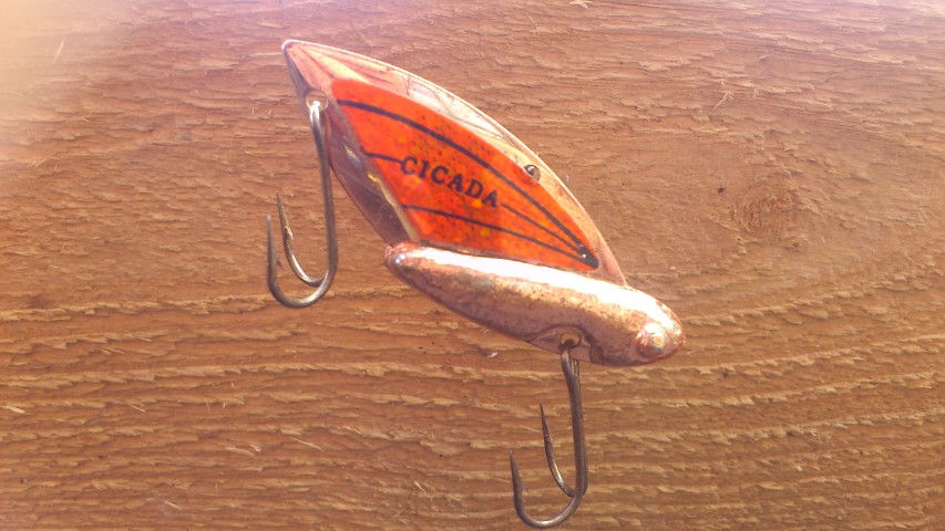 Miniatyrbilde: 403 Copper Orange
