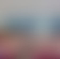 ソーシャルマーケティングの本質と実践を深める1週間