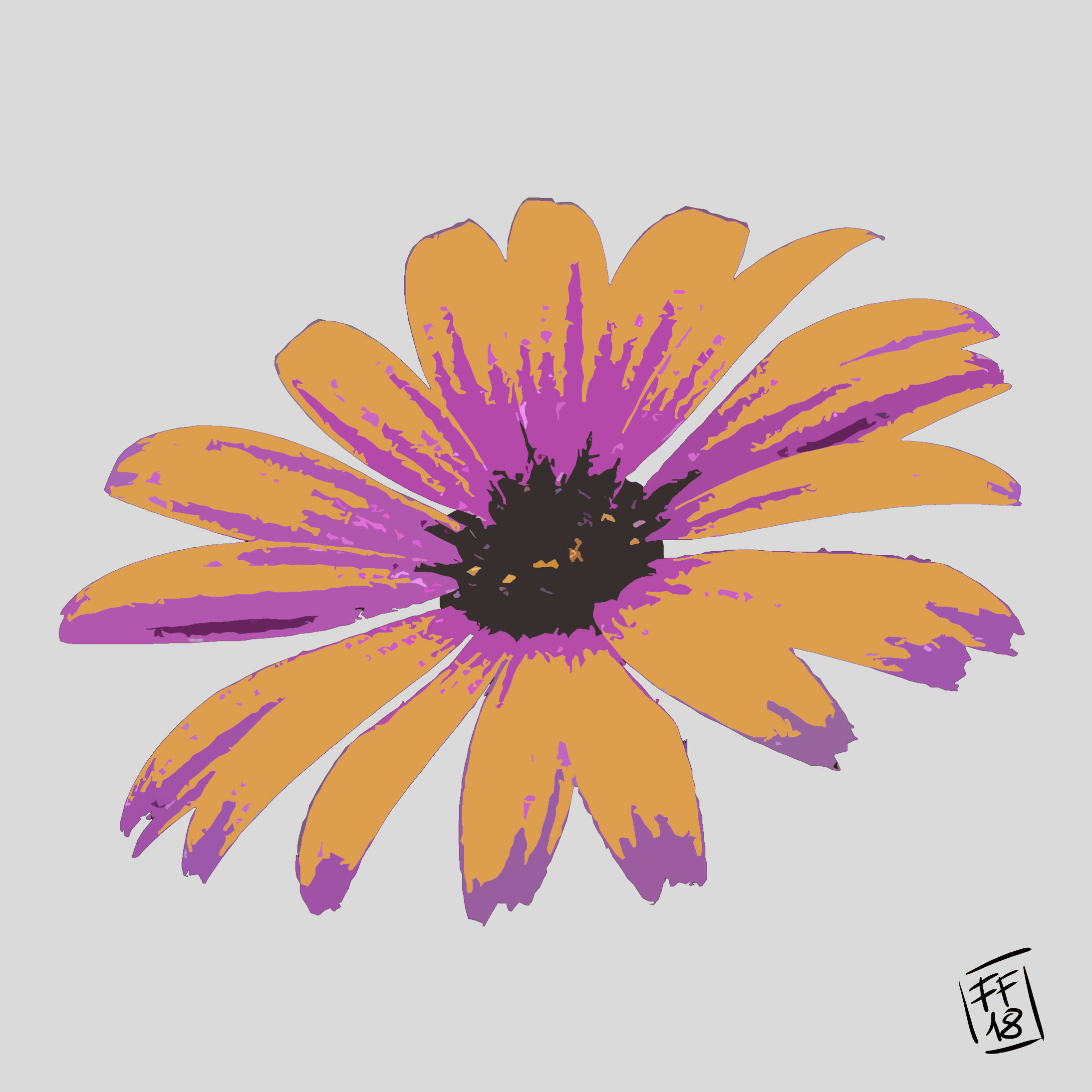 Margherita colorata