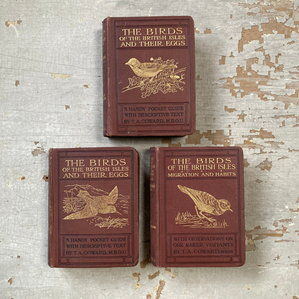 SOLD - 'The Birds of the British Isles' - T. A. Coward