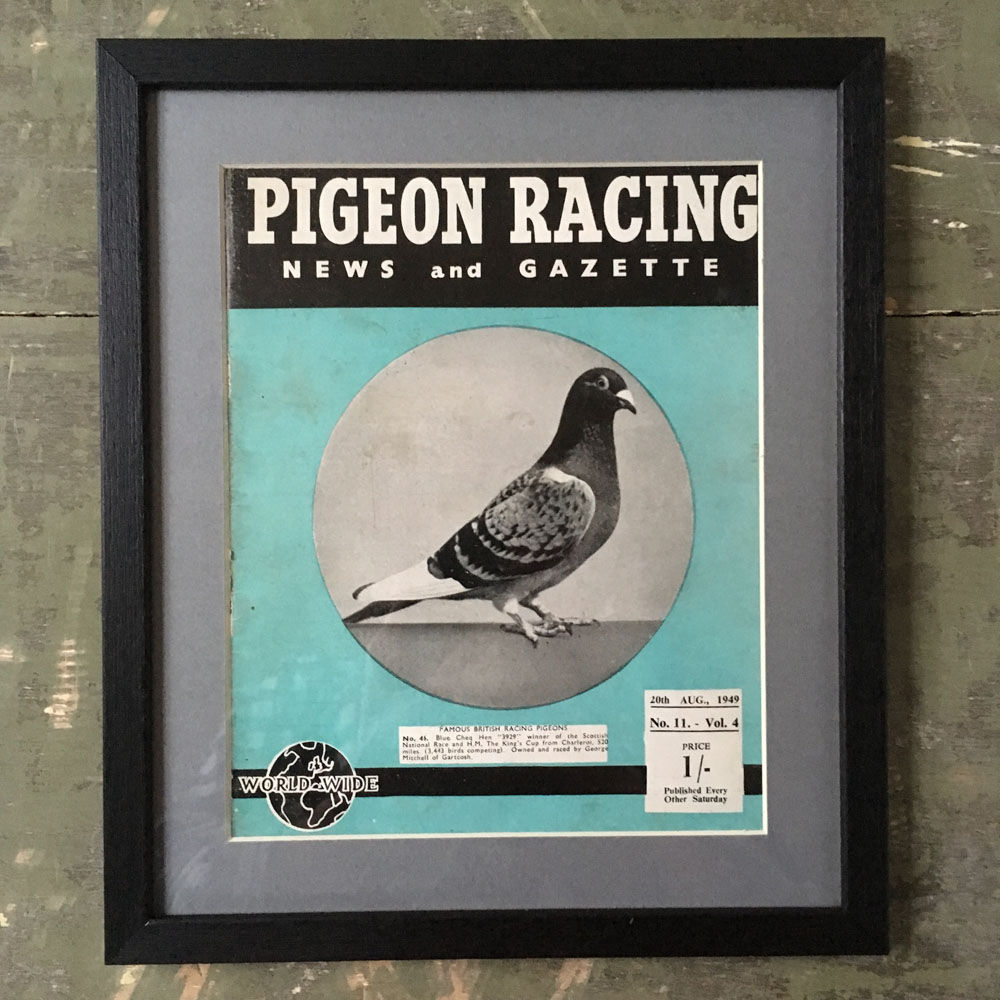 NOW SOLD - Vintage racing pigeon print - No. 46 '3929'