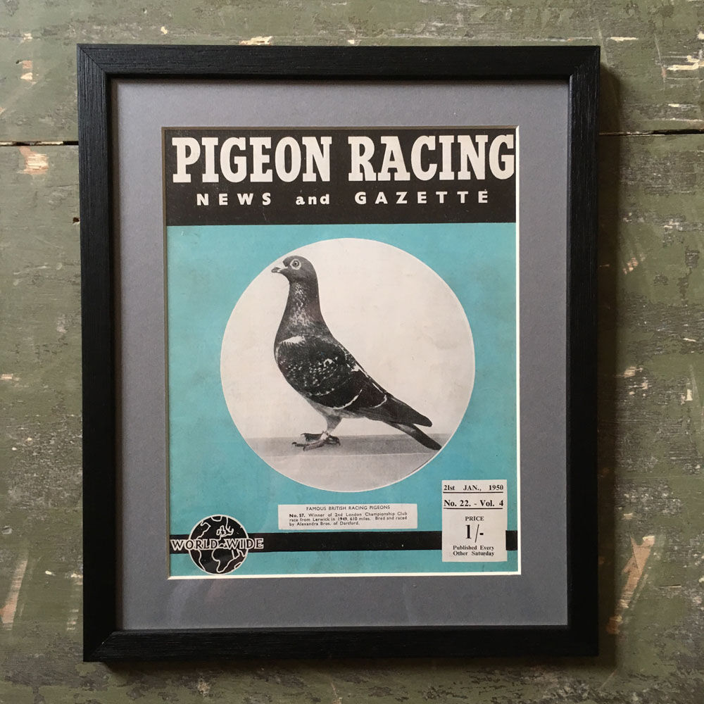 NOW SOLD - Vintage racing pigeon print - No. 57