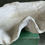 Thumbnail: SOLD - Giant clam shell (concrete cast)