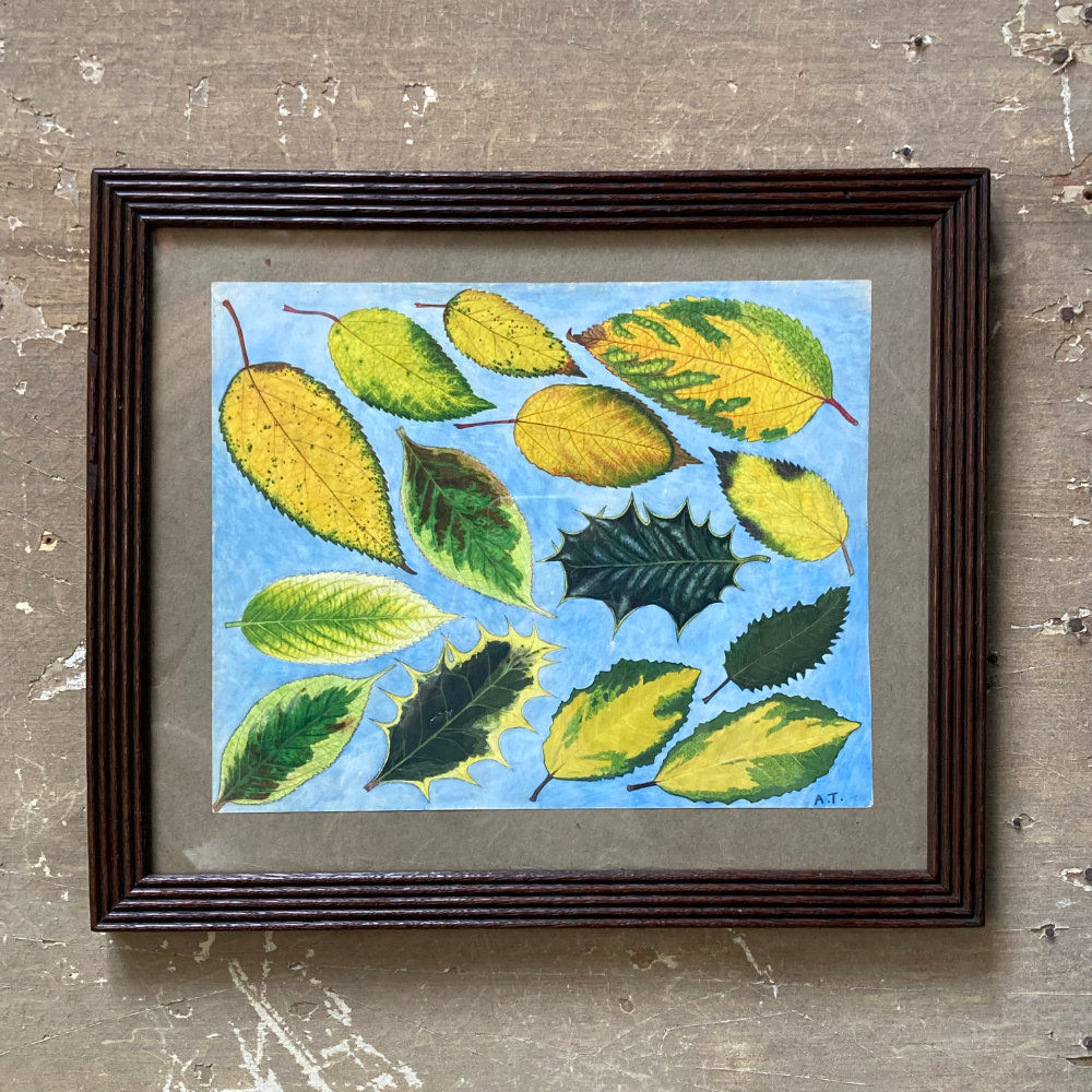 SOLD - Amy Twinning (1917–2014) watercolour study - Leaves