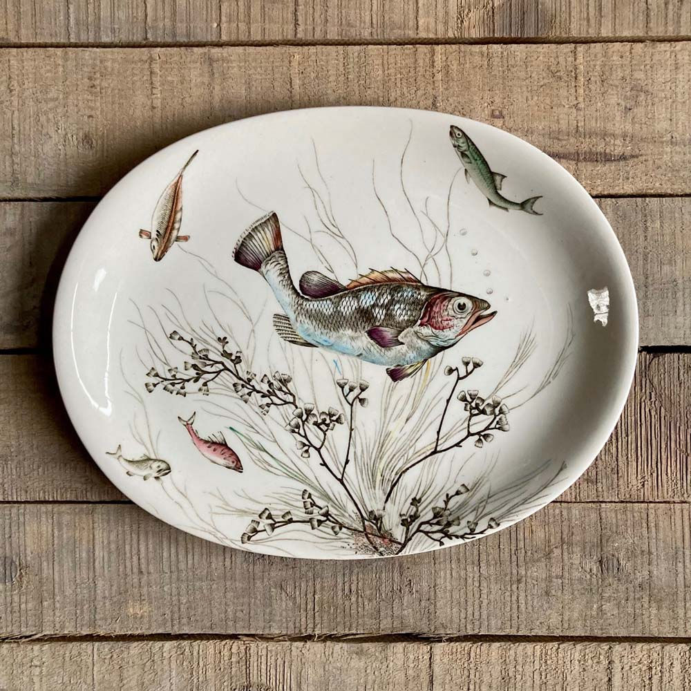 SOLD - Johnson Bros. serving plate - 'Fish' (medium)
