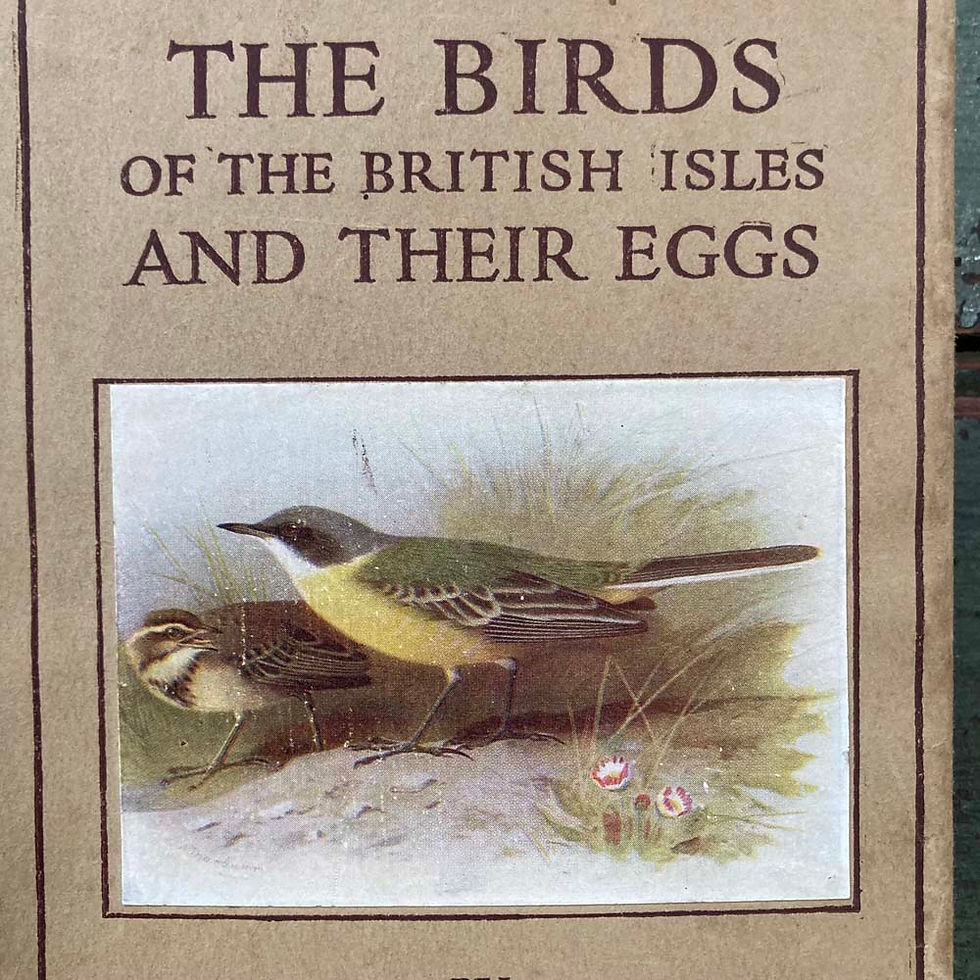 Thumbnail: SOLD - The Birds of the British Isles by T. A. Coward
