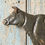 Thumbnail: NOW SOLD Vintage cast iron cow door stop
