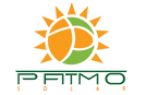 PATMO%20WHITE%20LOGO%20HIRES%20(1)_edite