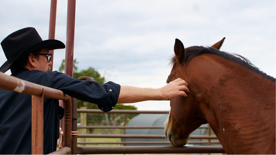 Screenshot 2022-11-15 at 1.48.50 PM.png