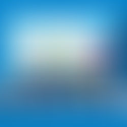 10 Steps To Ensure Effective Employee Training For Your Startup: