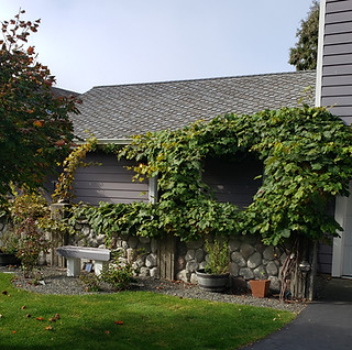 Fall Cottage front
