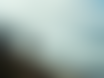 Discover Affordable Elopement Packages in Brookings, Oregon