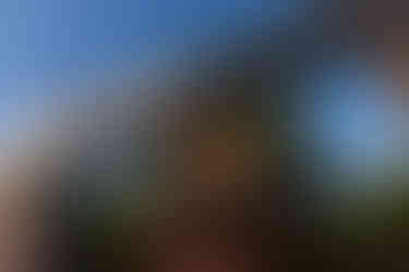 Northeast Texas Summer Wedding at Wildernest Ranch in Naples, TX