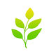 logo.jpg