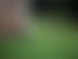 Nettoyage extérieur : ce que les clients ne voient pas du travail professionnel